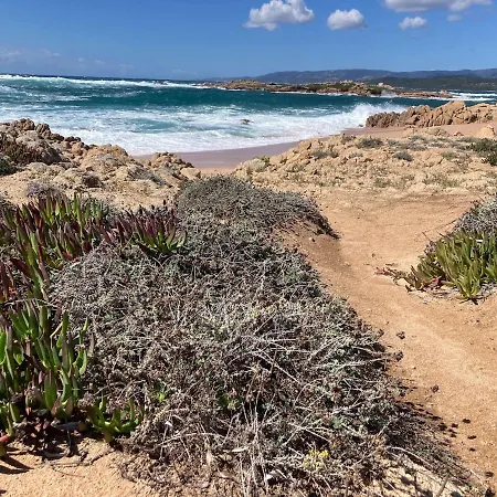 Apartment T2 Cozy Terrasse 40 M2 Et Pergola
