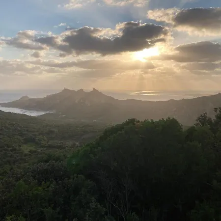 T2 Cozy Terrasse 40 M2 Et Pergola *