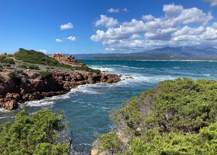 公寓 T2 Cozy Terrasse 40 M2 Et Pergola 皮诺托里卡尔达雷洛