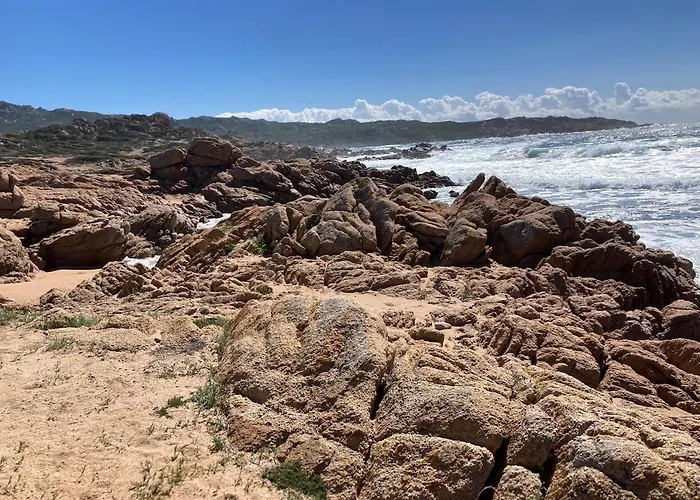 T2 Cozy Terrasse 40 M2 Et Pergola 公寓