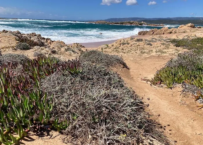 公寓 T2 Cozy Terrasse 40 M2 Et Pergola